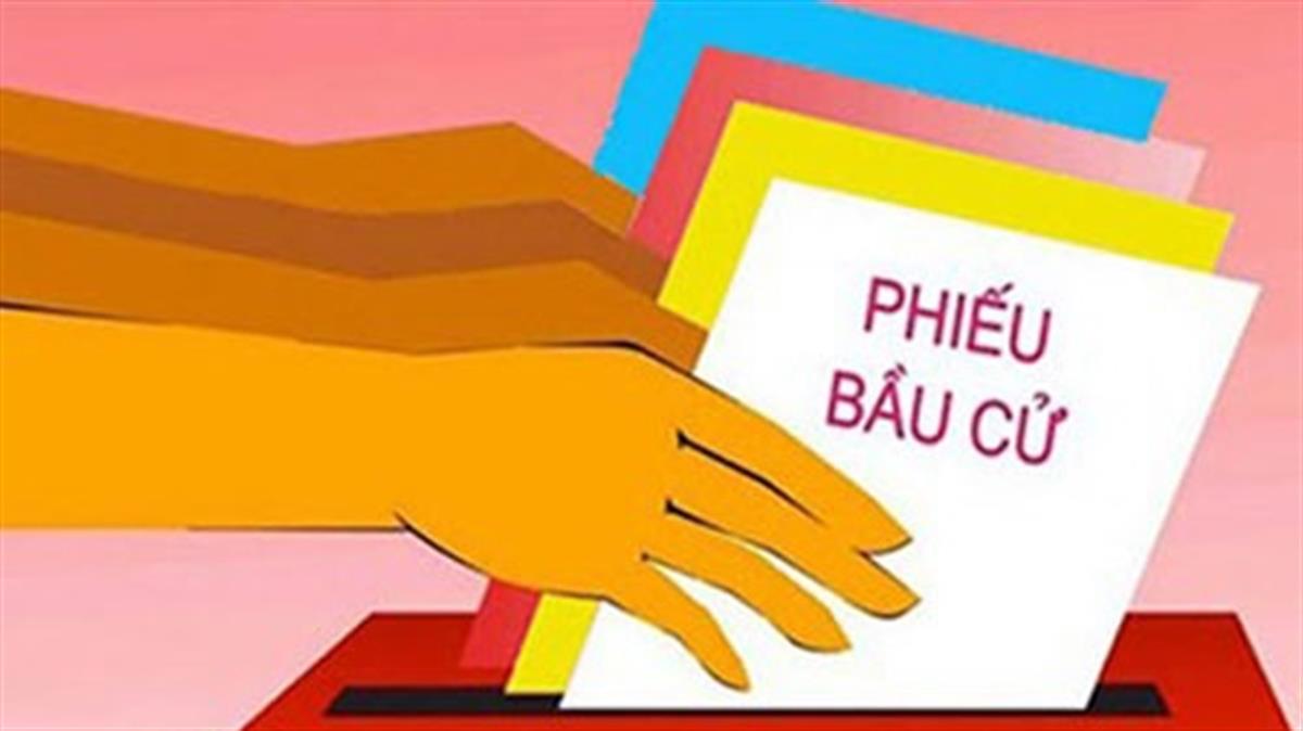 Phiếu bầu hợp lệ và phiếu bầu không hợp lệ
